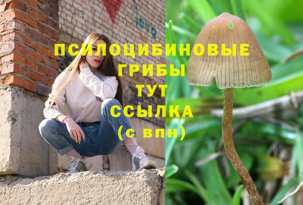 первитин Бугульма