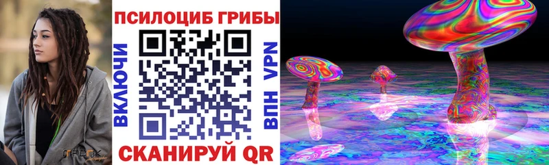 наркошоп  Гатчина  Галлюциногенные грибы Magic Shrooms 